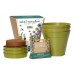 Mini Meadow Bamboo Pots Butterfly Mix