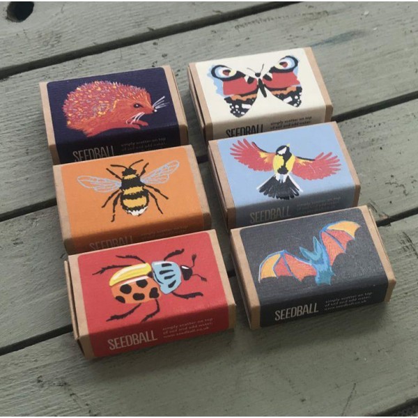 Seedball Wildlife Collection Seed Boxes 6 Pack